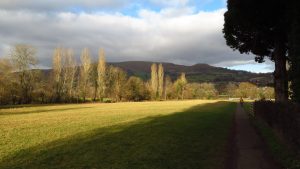 Sendero rural iluminado por la luz cálida de la tarde, entre árboles y campos verdes